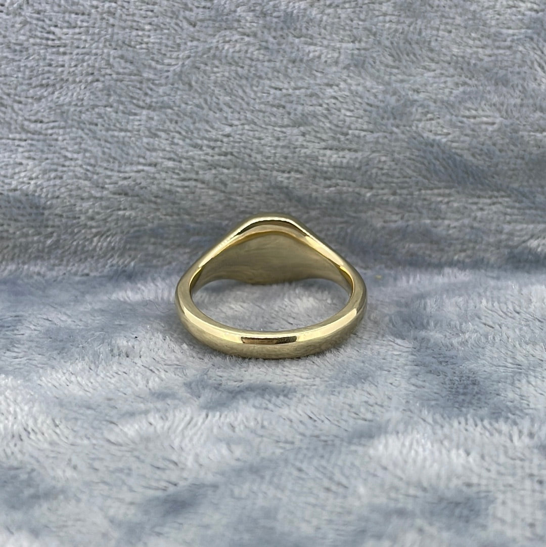 R0664 9ct 8x7mm cushion signet FSR2